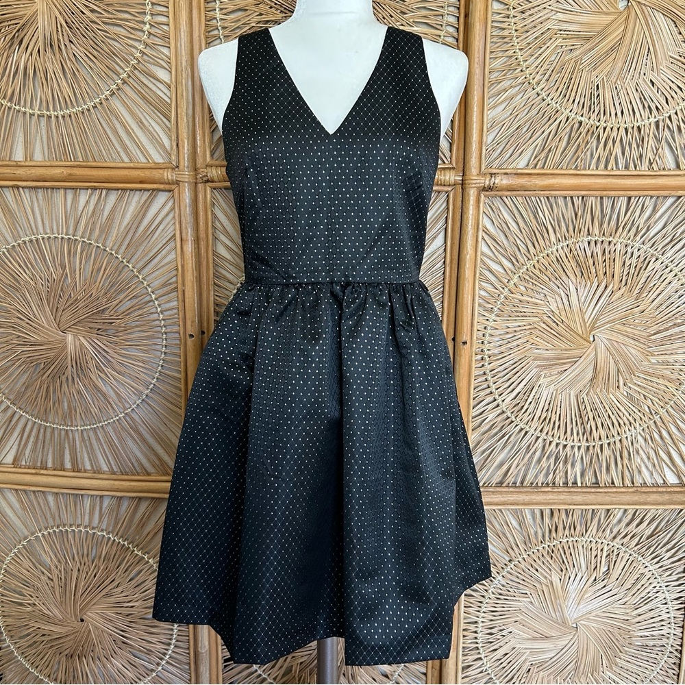 Little Black Holiday Dress Fit and Flare